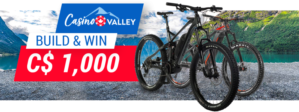 baby blue cruiser bike